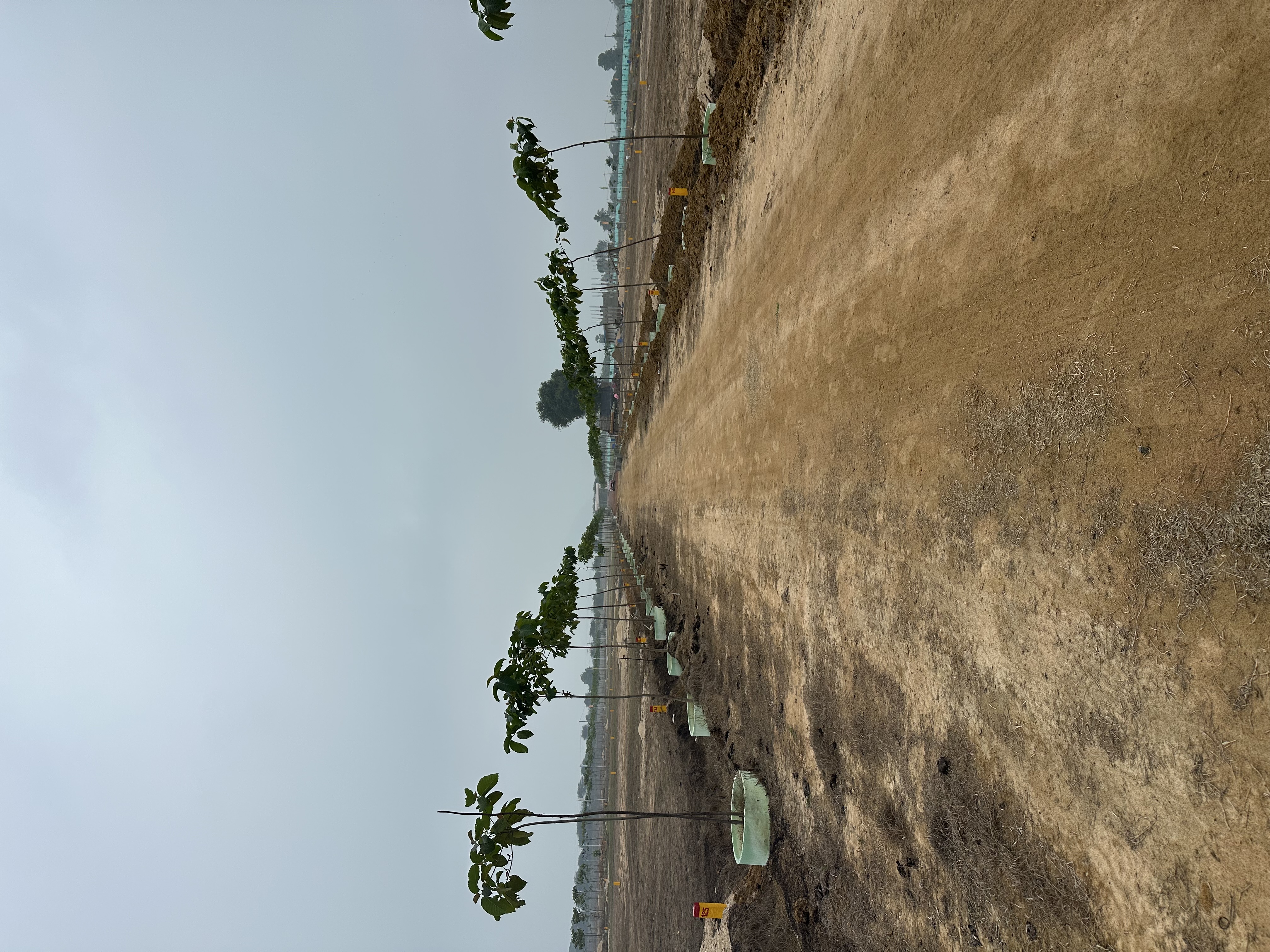 MITHRA ESTATS PHASE-1